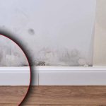 Vaporisez ce mélange magique sur vos murs et la moisissure disparaît en un clin d'œil !