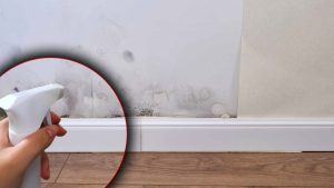 Vaporisez ce mélange magique sur vos murs et la moisissure disparaît en un clin d'œil !